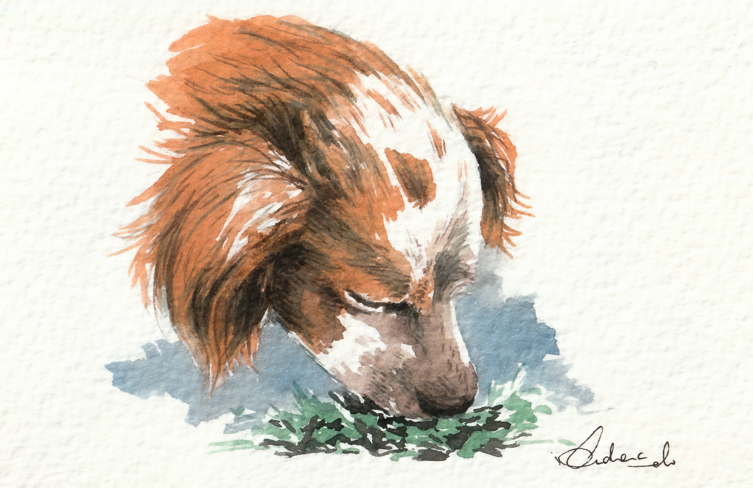 The World in a Sniff: How Your Dog's Sense of Smell Transforms Your Walk (And Your Bond)