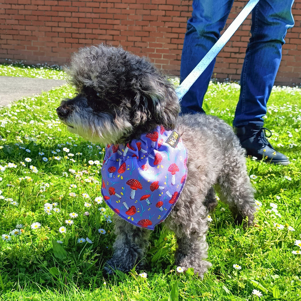 Lenço Slide-On O Explorador | Design Reversível Cogumelos