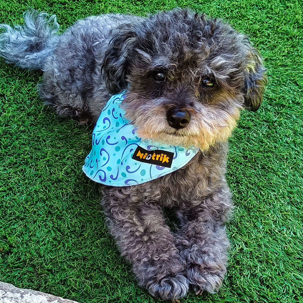 Lenço Slide-On O Explorador | Design Reversível Cogumelos