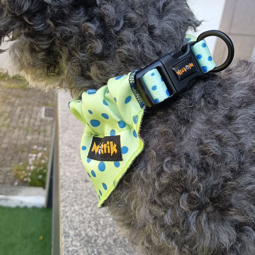 Lenço Slide-On O Saltitão | Design Reversível Padrão de Sapos