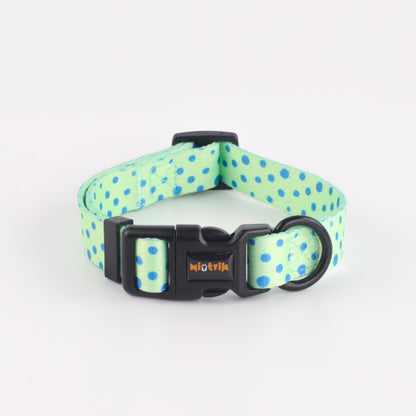 The Signature Walk Set - Leap Into Style