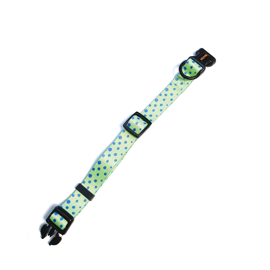 Conjunto Coleira e Trela O Saltitão | Acessórios para Cão com Padrão verde que coordena com o padrão de sapos