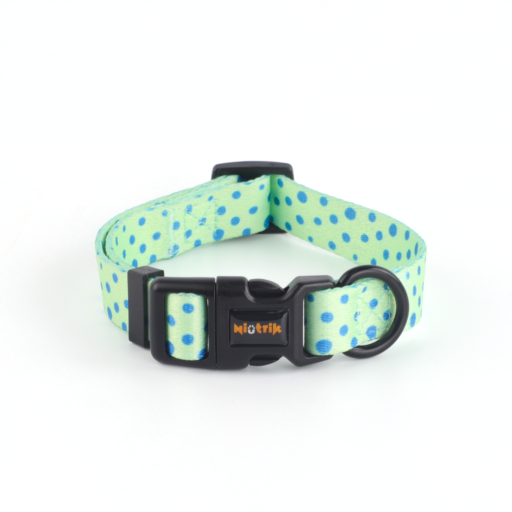 Conjunto Coleira e Trela O Saltitão | Acessórios para Cão com Padrão verde que coordena com o padrão de sapos