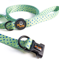 Conjunto Coleira e Trela O Saltitão | Acessórios para Cão com Padrão verde que coordena com o padrão de sapos