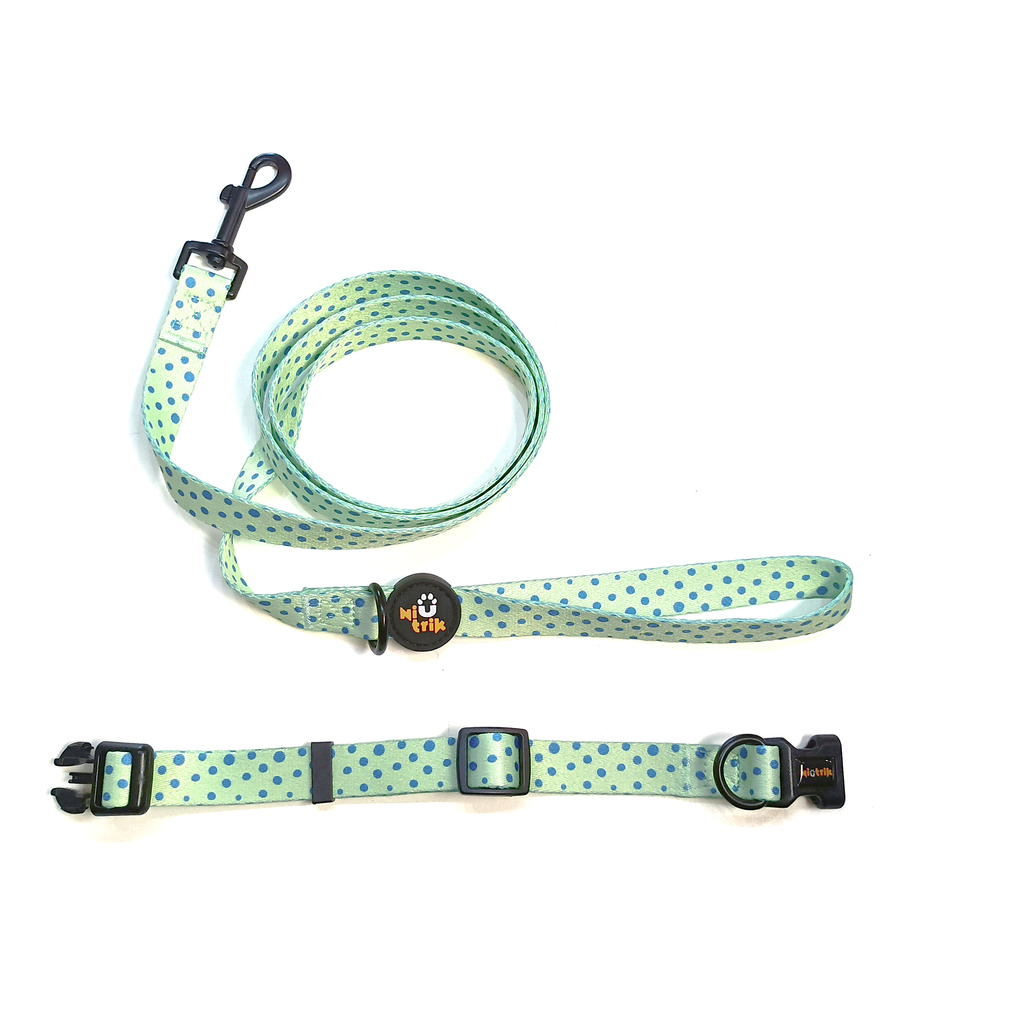 Conjunto Coleira e Trela O Saltitão | Acessórios para Cão com Padrão verde que coordena com o padrão de sapos
