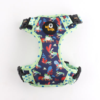 The Signature Walk Set - Leap Into Style