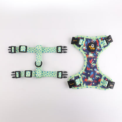 The Signature Walk Set - Leap Into Style