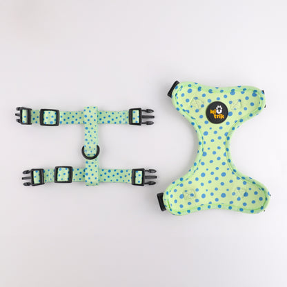 The Signature Walk Set - Leap Into Style