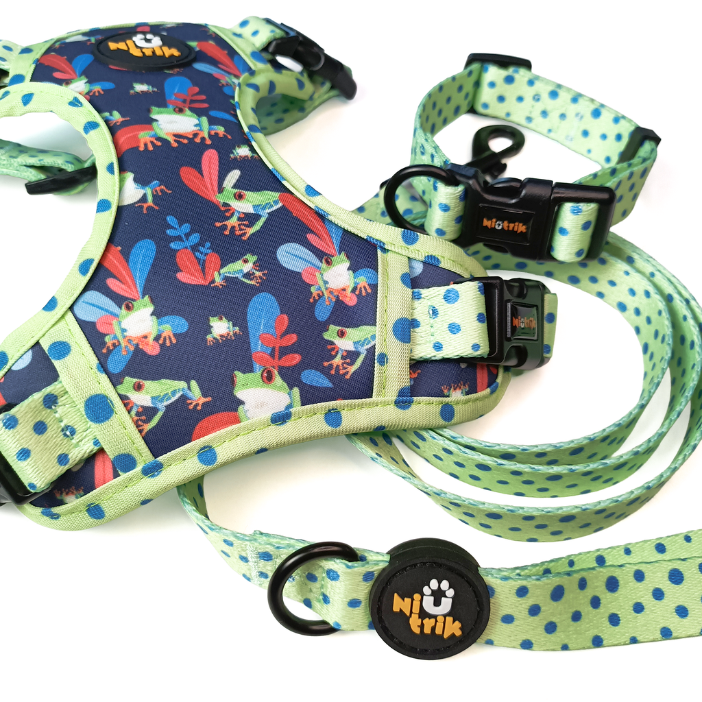 Conjunto de Passeio Assinatura O Saltitão