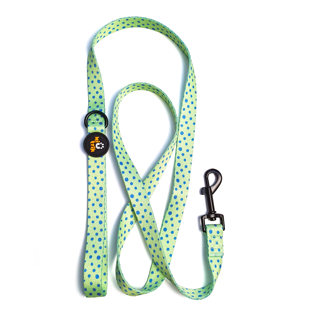 Conjunto Coleira e Trela O Saltitão | Acessórios para Cão com Padrão verde que coordena com o padrão de sapos