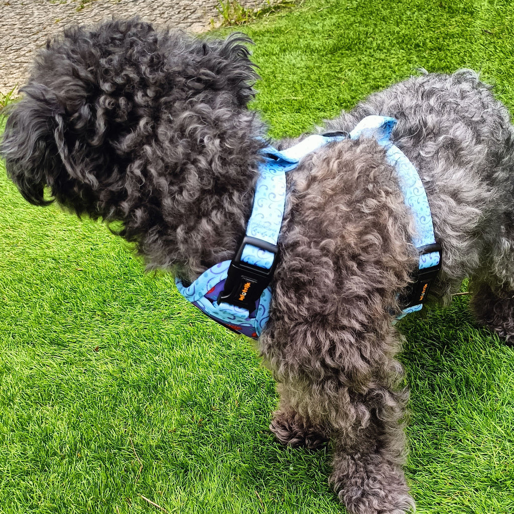 Peitoral Reversível O Explorador | Design Cogumelos