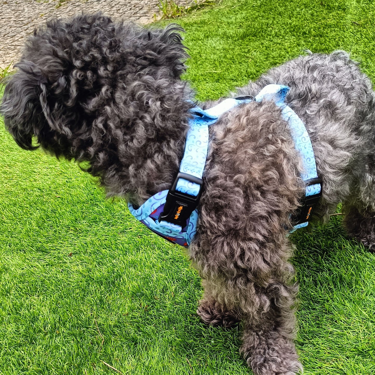 Reversible Dog Harness – Mushroom Magic