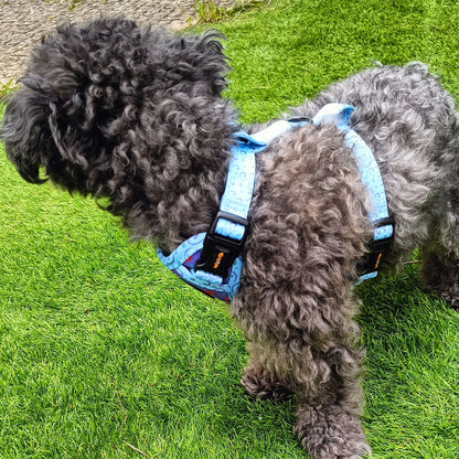 Reversible Dog Harness – Mushroom Magic