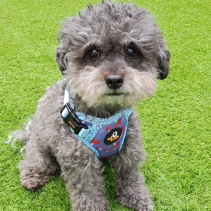 Reversible Dog Harness – Mushroom Magic