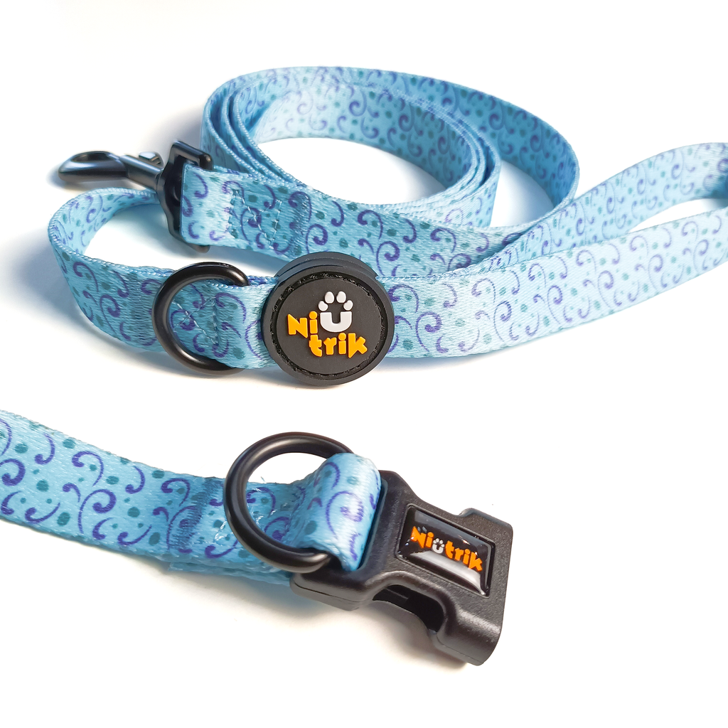 Conjunto Coleira e Trela O Explorador | Acessórios para Cão com Padrão azul que coordena com o padrão de cogumelos