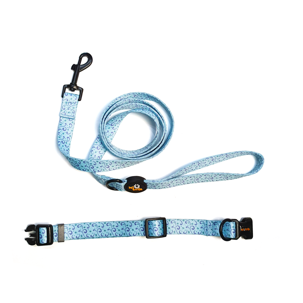 Conjunto de Passeio Assinatura O Explorador