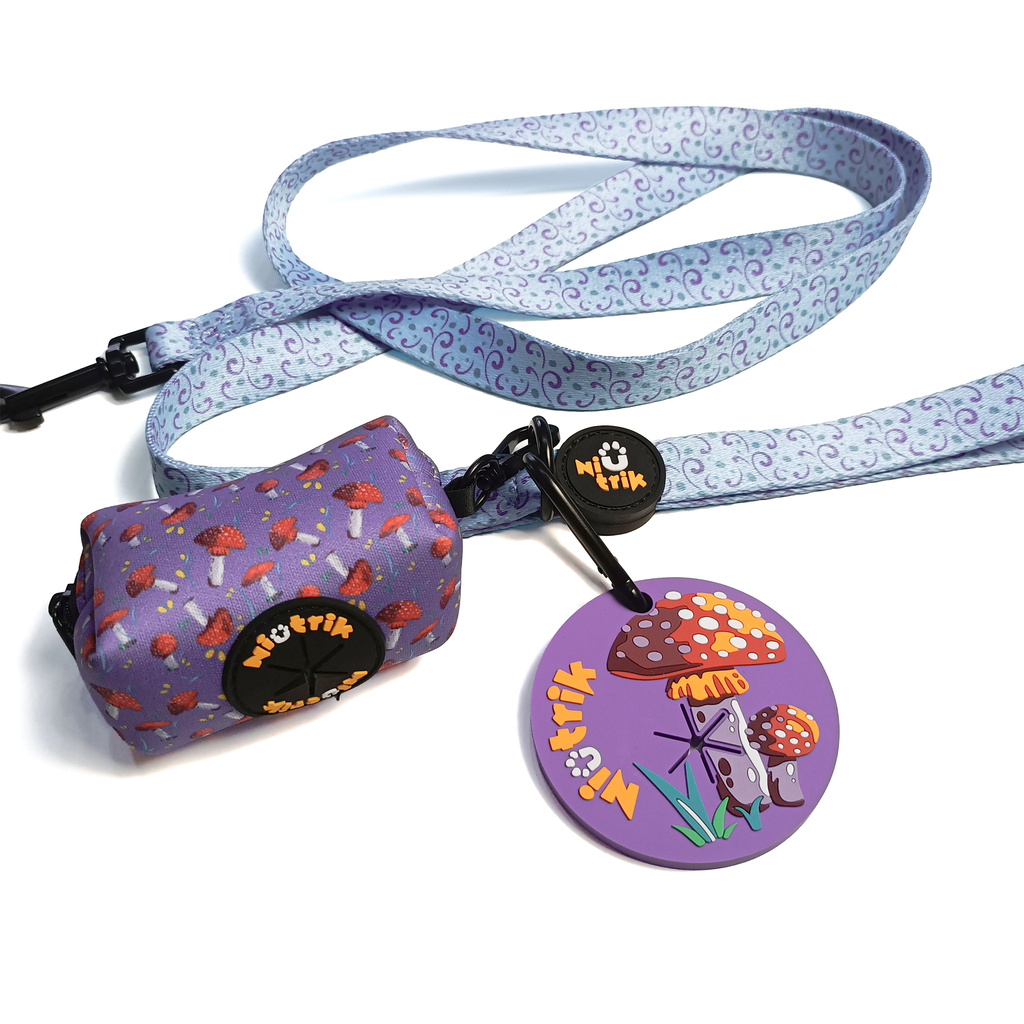 Kit do Explorador – Pack Estilo & Organizado