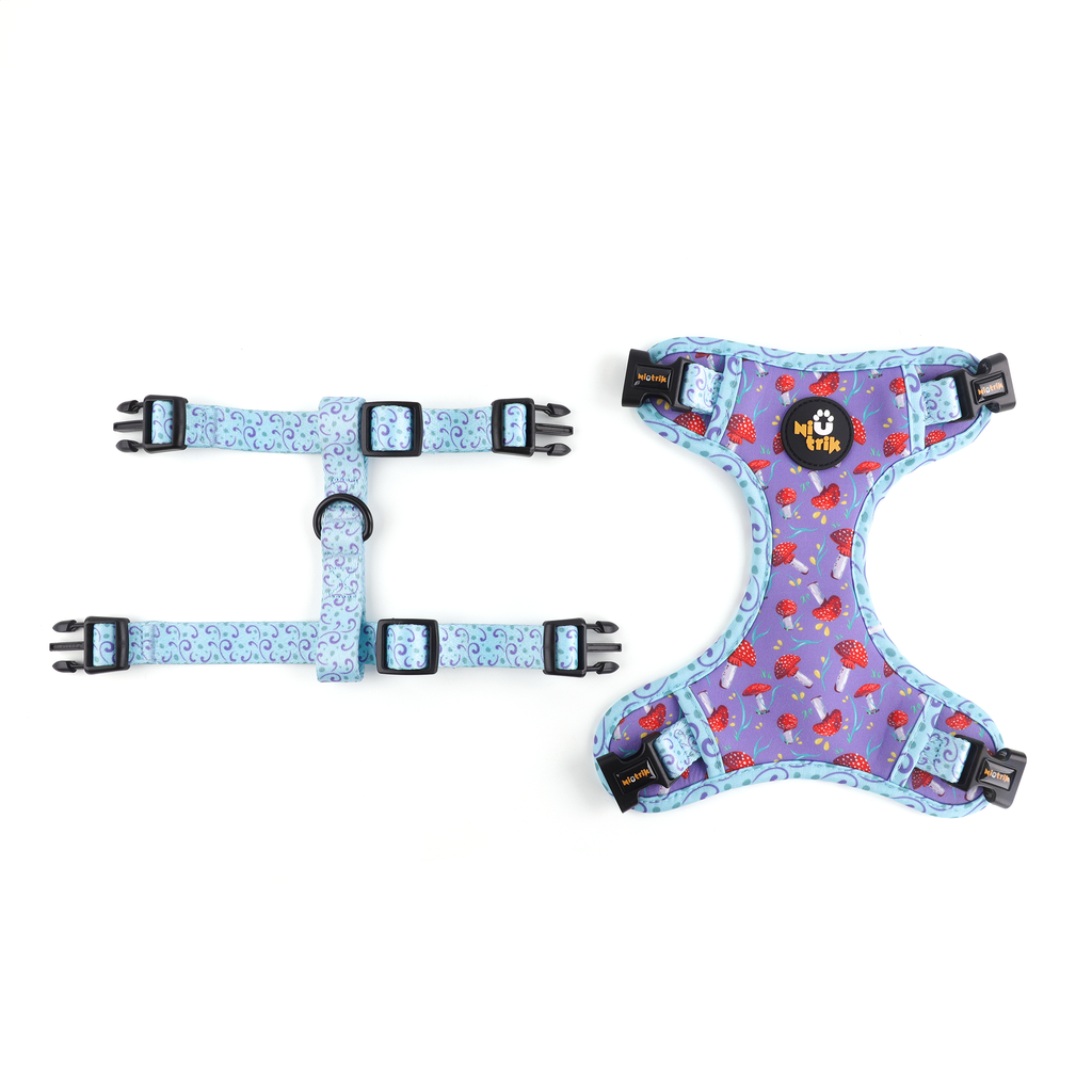 Peitoral Reversível O Explorador | Design Cogumelos