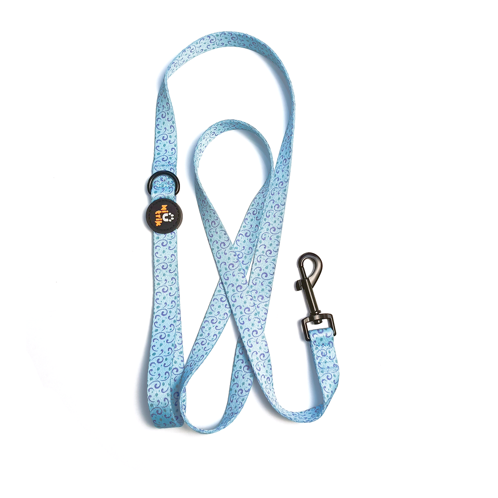 Conjunto Coleira e Trela O Explorador | Acessórios para Cão com Padrão azul que coordena com o padrão de cogumelos