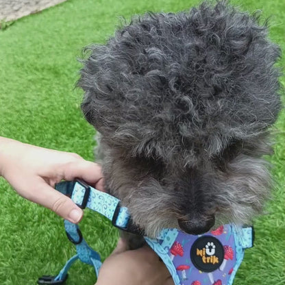 Reversible Dog Harness – Mushroom Magic